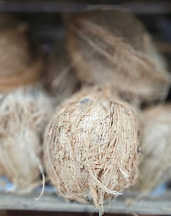 Puja Coconut (Sold Per Piece)