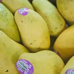 Kent Mango (Sold Per Piece)