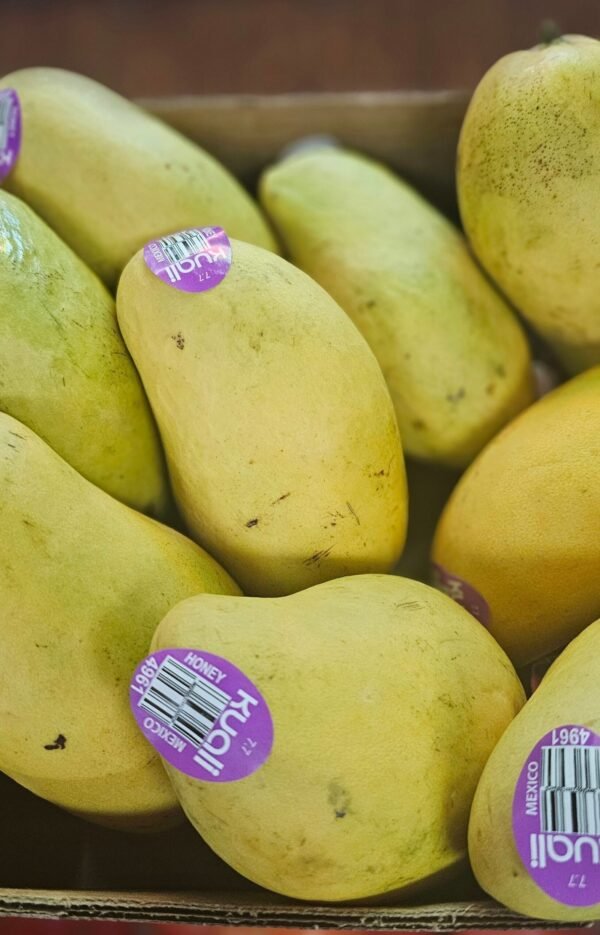 Kent Mango (Sold Per Piece)