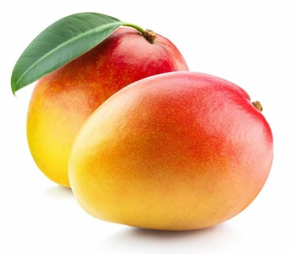 Red Mango aka Haden Mango -Mexican (Sold per piece)