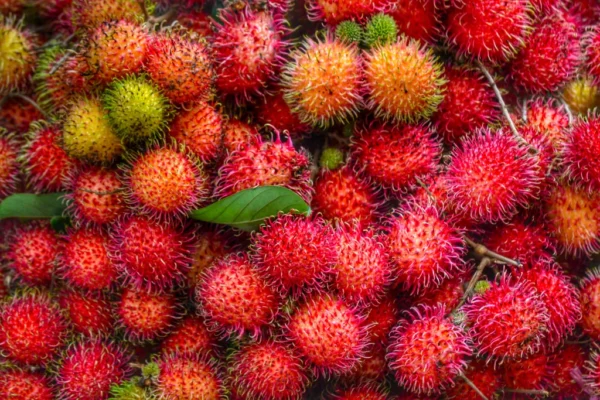 Rambutan Fresh (Sold Per Pound)