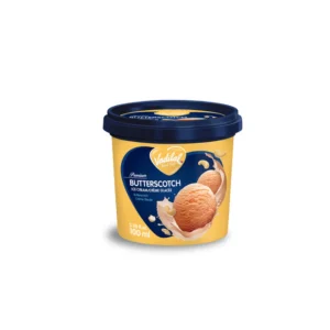 Butterscoch Icecream - Vadilal (100ml)
