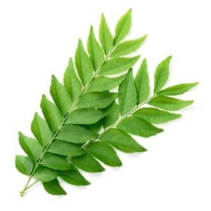 Curry Leaves Small Packet
