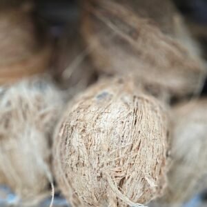 Puja Coconut (Sold Per Piece)