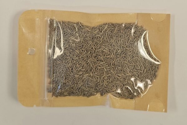 Cumin Seeds - Naan Sense Grocery (30g) - Image 2