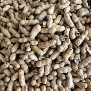 Raw Peanut