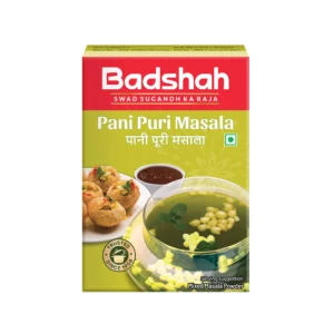 Panipuri Masala - Badshah (100g)