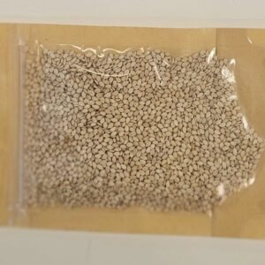 Sesame Seeds White - Naan Sense Groicery (25g)