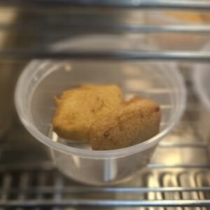 Paneer-stuffed bread pakora served as a snack or appetizer