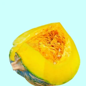 Sliced green pumpkin on a vine, showcasing the Indian Kashifal variety.
