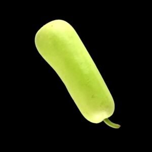 Dudhi Indian (Bottle Gourd)