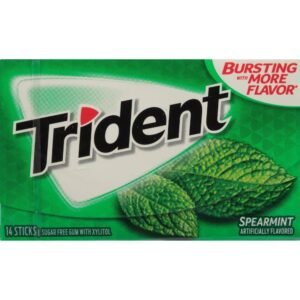 Trident Spearmint Gum 15 Sticks
