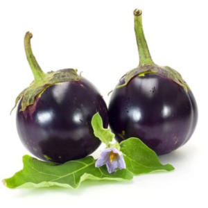 Fresh round baby eggplants on a white background
