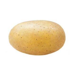 Fresh Yellow Jumbo Potato suitable for baking, mashing, or frying.