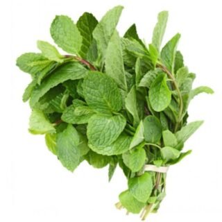 Fresh mint leaves for cooking and garnishing dishes