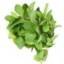 Fresh mint leaves for cooking and garnishing dishes