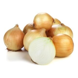 Fresh yellow onion on a white background