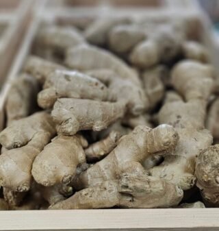 Fresh taro root next to organic ginger on a wooden surface