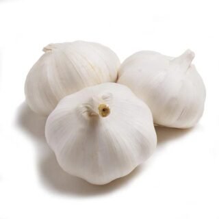 Fresh garlic bulbs for cooking and flavoring dishes