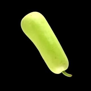 Fresh bottle gourd (dudhi) on a white background